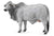 COLLECTA - BRAHMAN COW GREY (L)