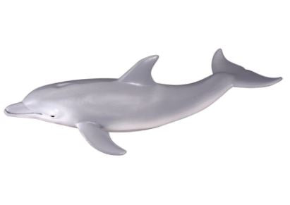 COLLECTA - BOTTLENOSE DOLPHIN (M)