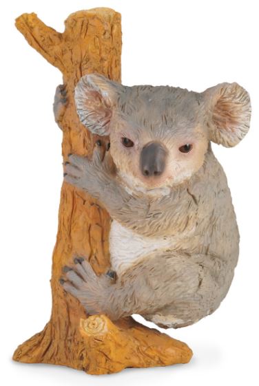 COLLECTA - KOALA CLIMBING (M)