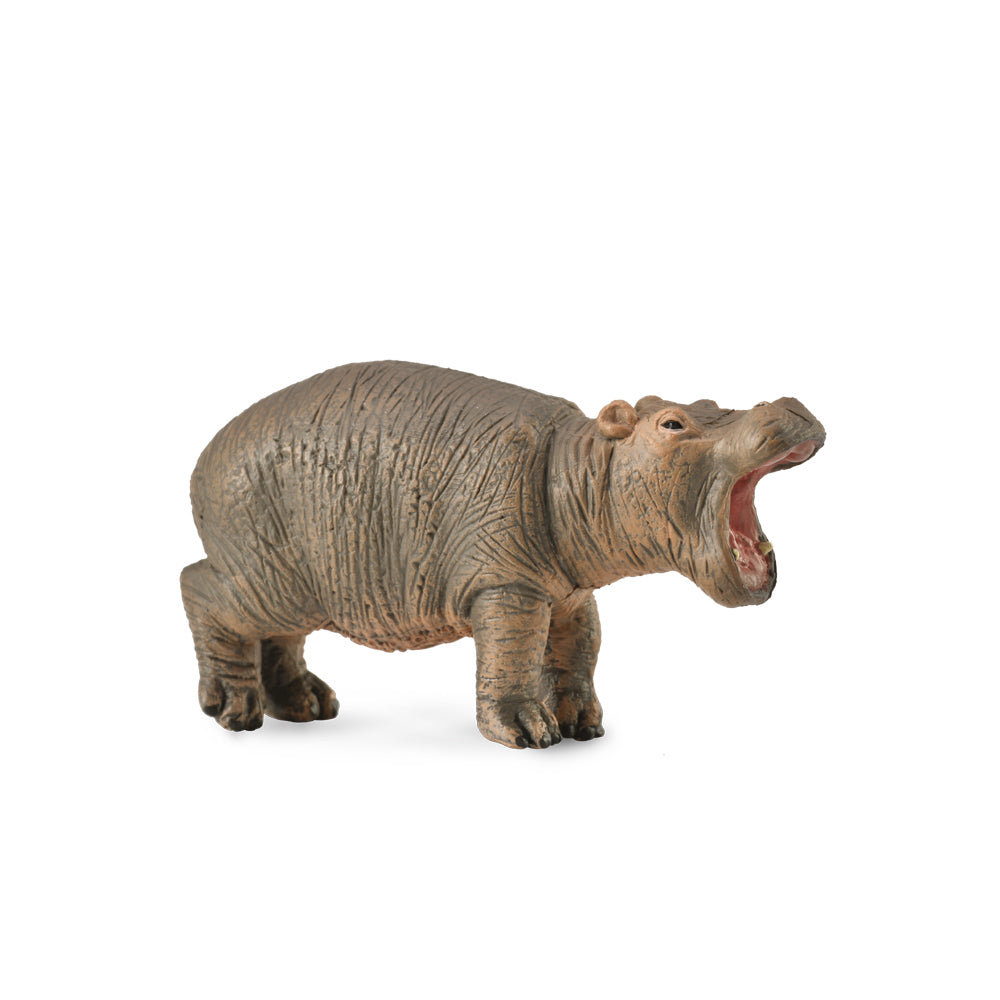 COLLECTA - HIPPOPOTAMUS CALF (S)