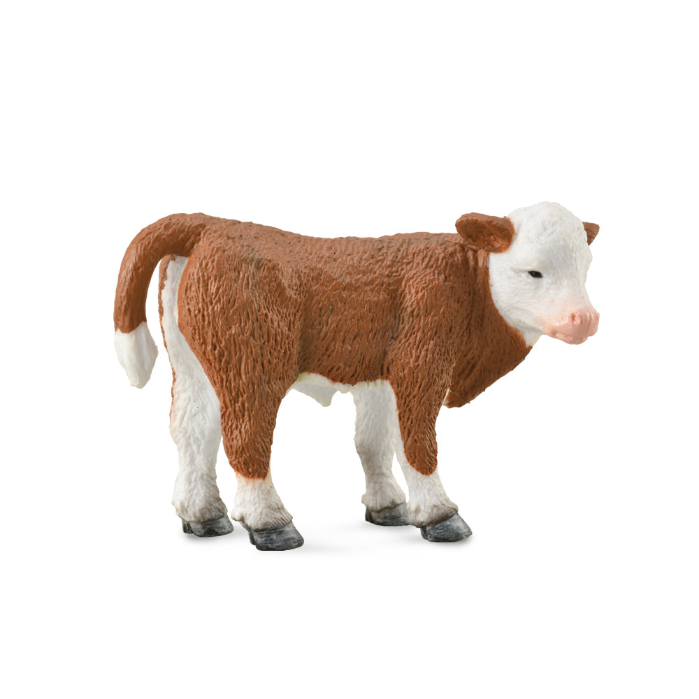 COLLECTA - HEREFORD CALF STANDING (S)