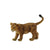 COLLECTA - LION CUB WALKING (S)