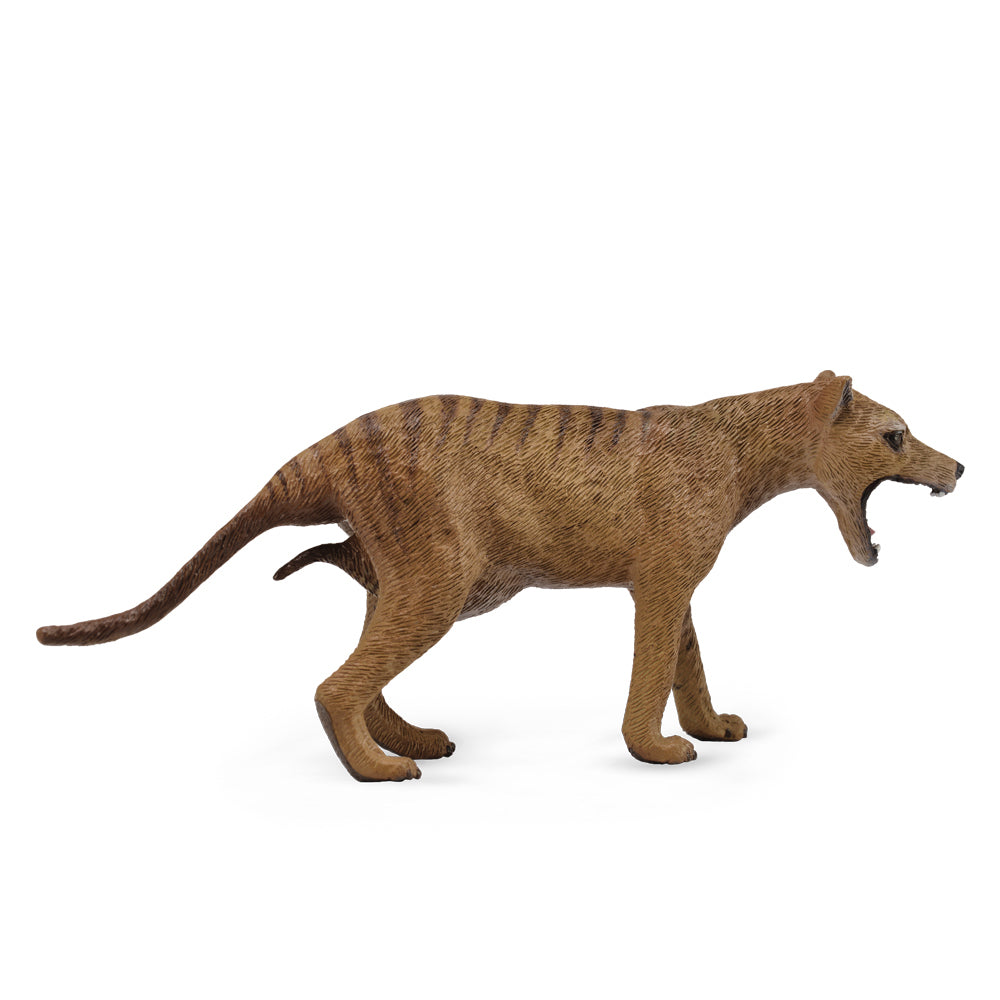 COLLECTA - THYLACINE TASMANIAN TIGER FEMALE