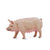 COLLECTA - PIG SOW