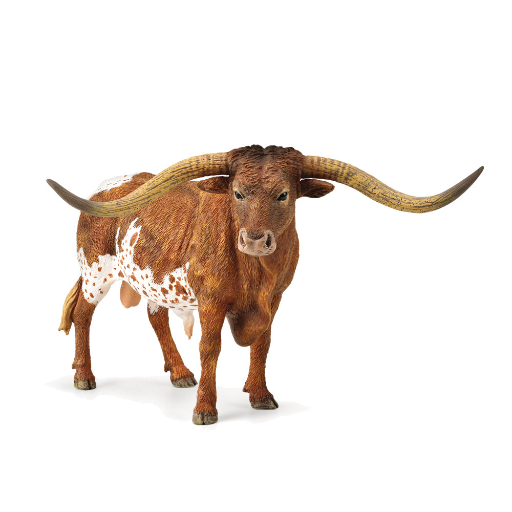 COLLECTA - TEXAS LONGHORN BULL