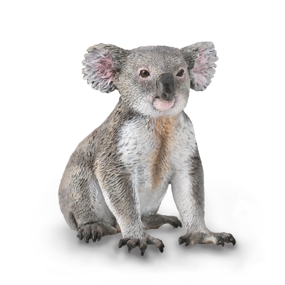 COLLECTA - KOALA