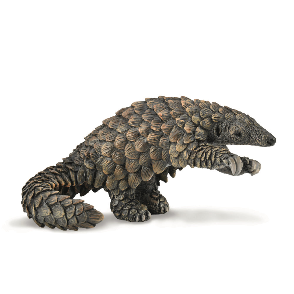 COLLECTA - PANGOLIN