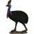 COLLECTA - CASSOWARY SOUTHERN (L)