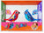 DIGIBIRDS TWIN PACK series 2