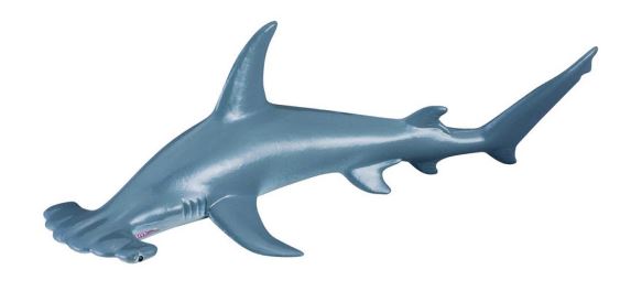 COLLECTA - SCALLOPED HAMMERHEAD SHARK (M)