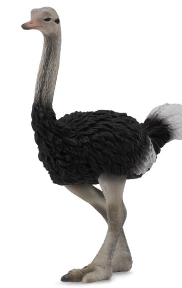 COLLECTA - OSTRICH (L)