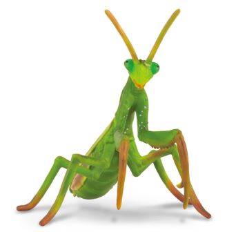 COLLECTA - PRAYING MANTIS (L)