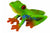 COLLECTA - RED-EYED TREE FROG (M)