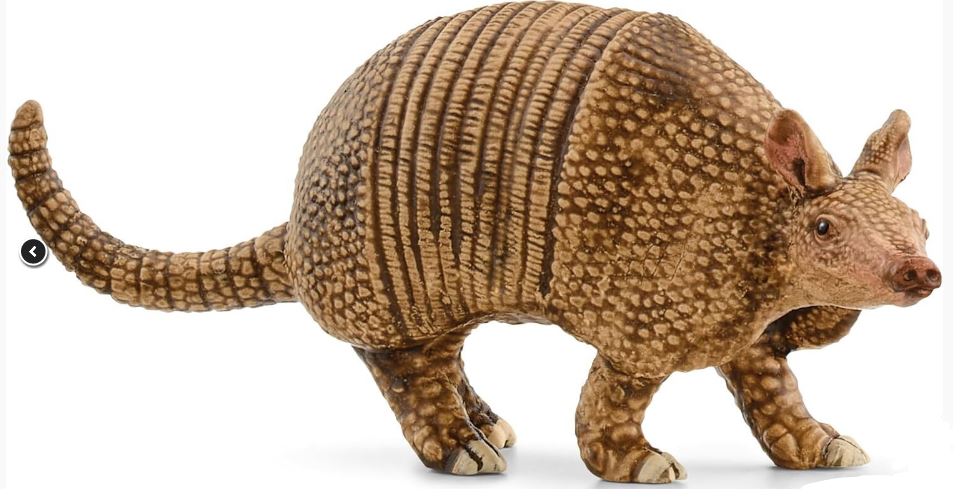 SCHLEICH - ARMADILLO