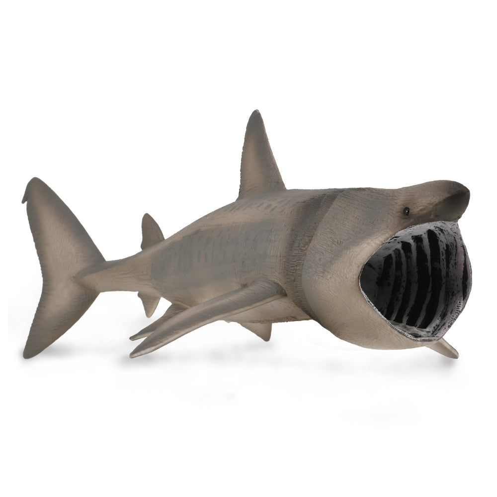 COLLECTA - BASKING SHARK