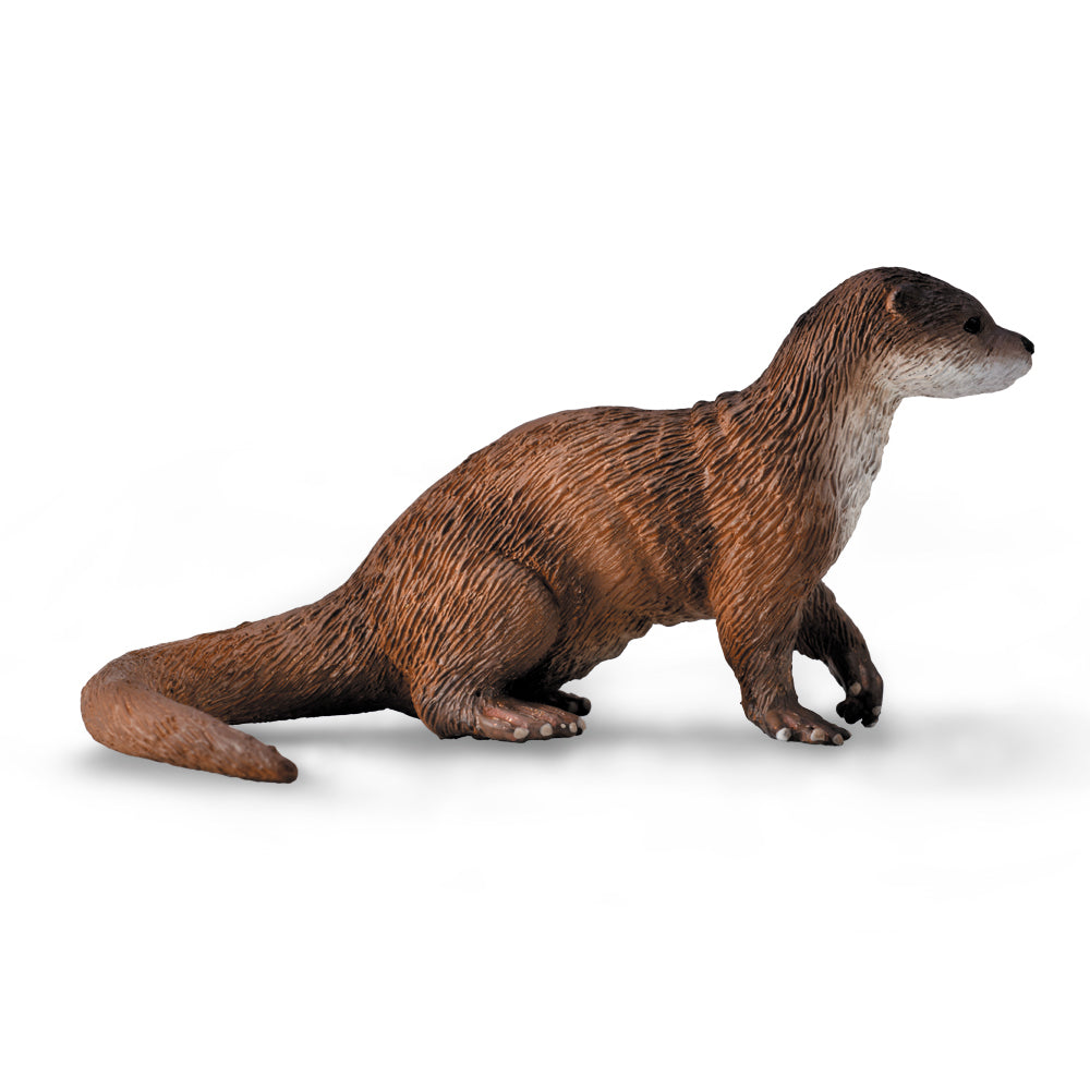 COLLECTA - COMMON OTTER