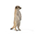 COLLECTA - MEERKAT