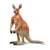 COLLECTA - RED KANGAROO MALE