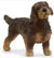 SCHLEICH - WIRE HAIRED DACHSHUND