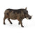 SCHLEICH - WARTHOG