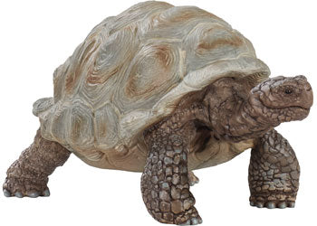 SCHLEICH - GIANT TORTOISE | SCHLEICH | Toyworld Frankston