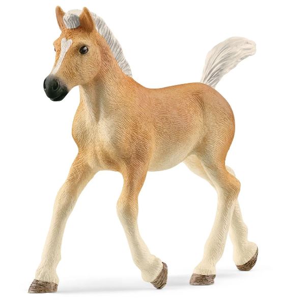 SCHLEICH - HAFLINGER FOAL